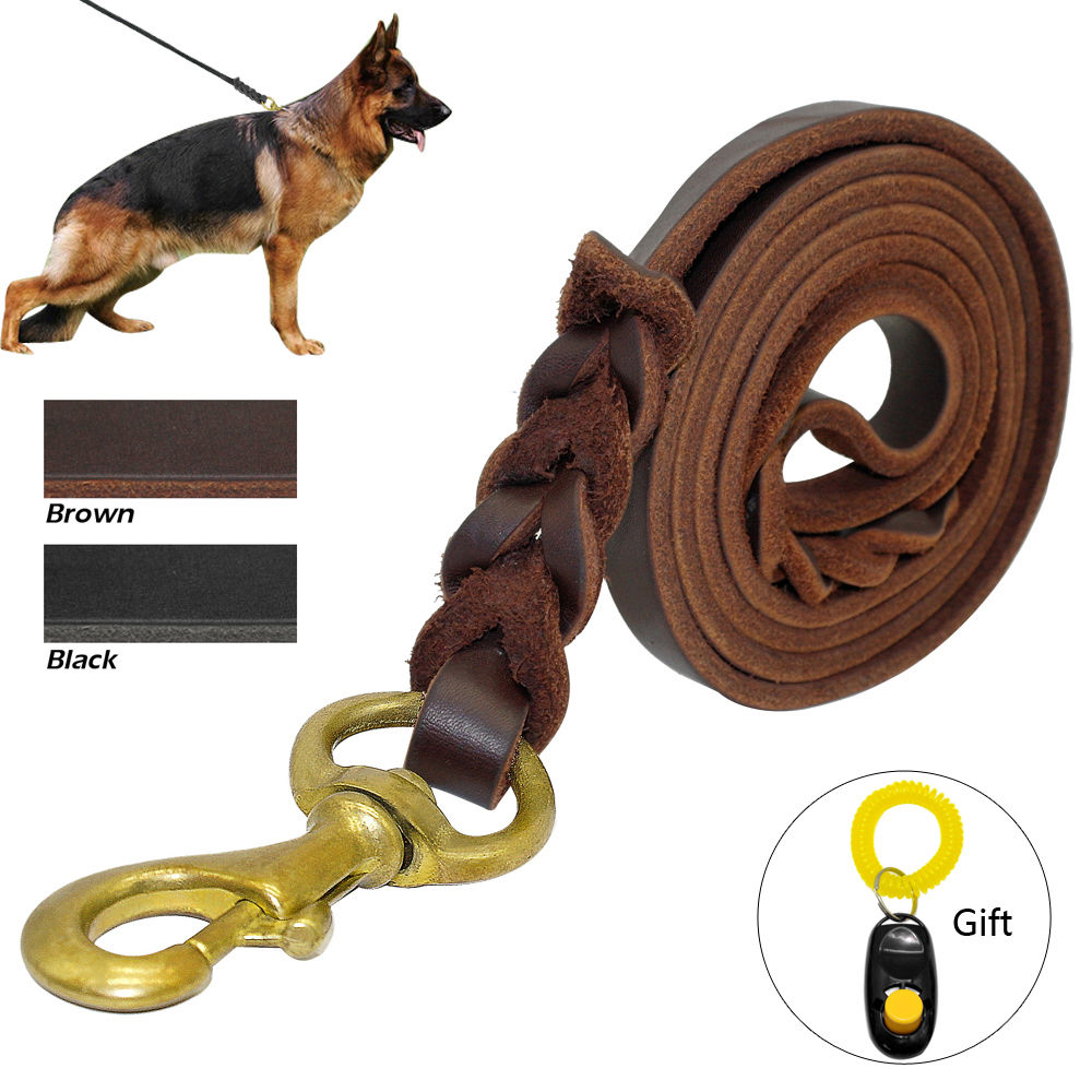 dog training leash