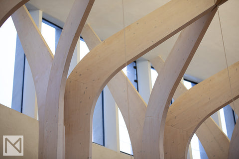 The wooden beams at Bishop Edward King Chapel resemble tree branches where they meet window level © Nick Miners Photography