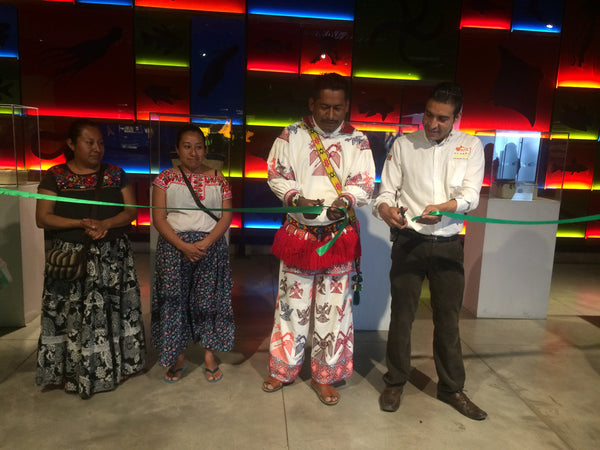 Acuario Michin Guadalajara y la Comisión Estatal Indígena inauguran exposición de Arte Mixteco.