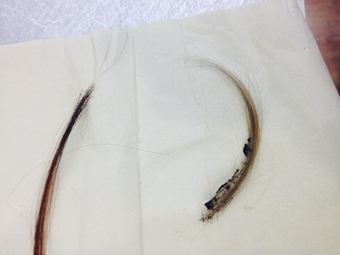 the burn test is a good way to know if your hair extensions are human and not synthetic fibers as well. 