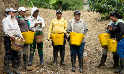 Volcano Coffee Works visits the Red Associations, Colombia