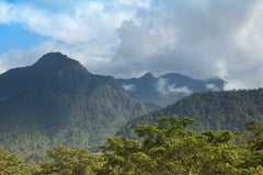 Honduras landscape