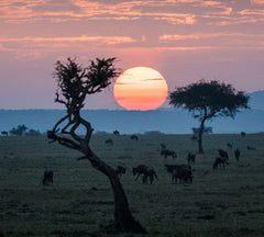 Kenya landscape