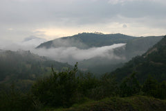 Guatemala landscape with mist