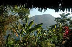 Mexico landscape