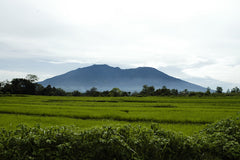 Sumatra landscape with volcano in distance