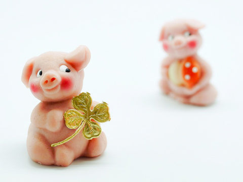 Chinese New Year Year of the Pig | Hush Home