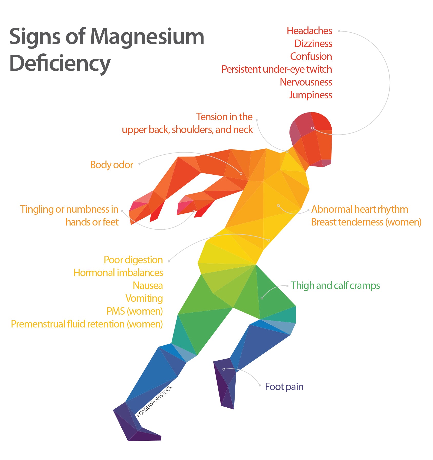 Bijproduct uitblinken Informeer Heb jij ook een magnesium tekort? – INDISHA