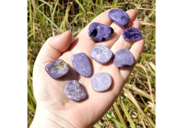 Healing Charoite Gemstone Lot Purple Charoite Gemstone Lot Rare Purple Charoite Gemstone 13 Pieces 181 Carat Handmade Charoite #NG-5029