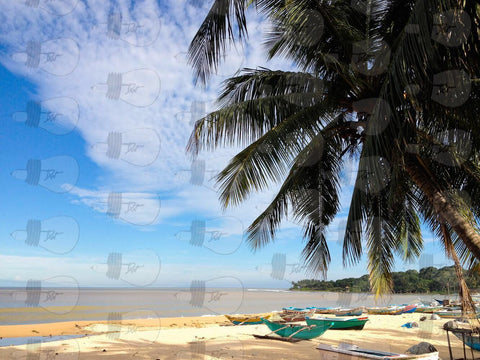 Sri_Lanka_Photography_Travel_Boat_Palmtrees_Lifestyle