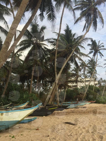 Sri_Lanka_Photography_Travel_Boat_Palmtrees_Lifestyle