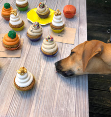 link to kristen's dog with a doggy cupcake