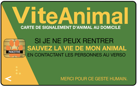 Carte ViteAnimale PAWZITIVE