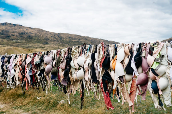 Hundreds of bras hanging on drying line outside