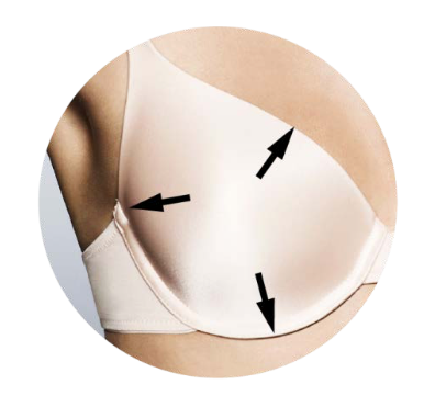 Bra cup with arrows pointing to the top, side and bottom