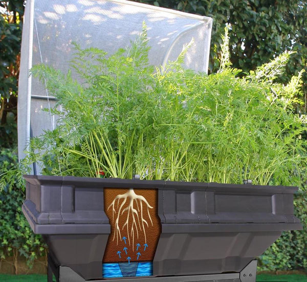 vegepod raised garden bed's self watering system