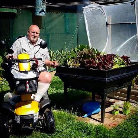 wheelchaired man next to raised garden bed