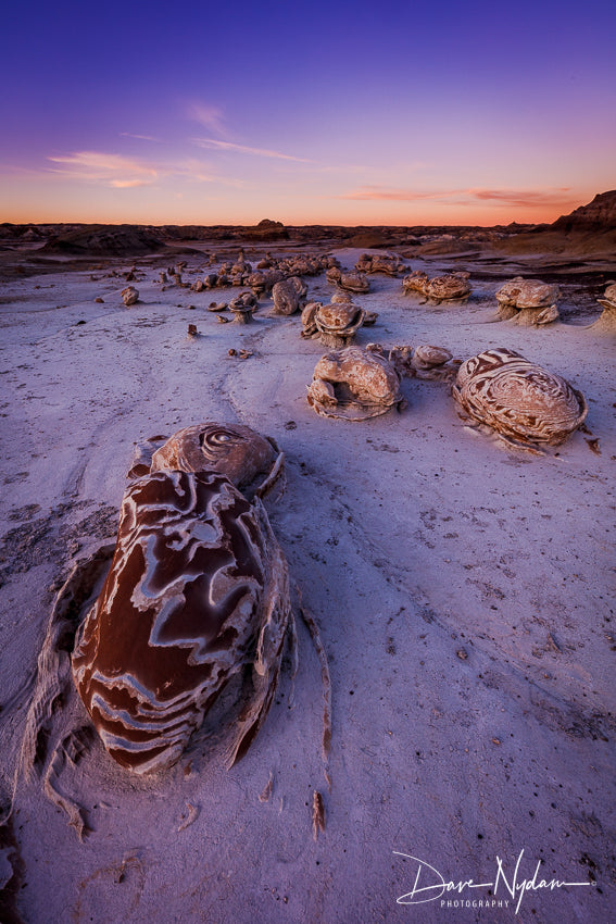 Cracked Eggs of Bisti Badlands at Sunset