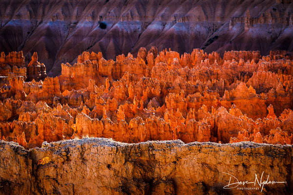 Bryce Canyon Amphitheater at Sunset