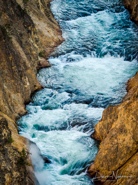 Grand Canyon of Yellowstone National Park