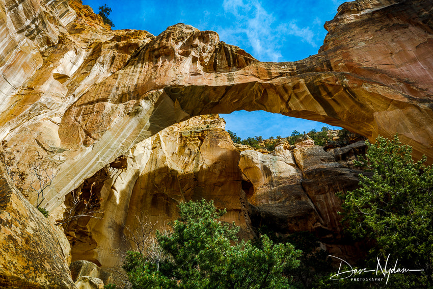 Natural Arch in El Malpais National Monument