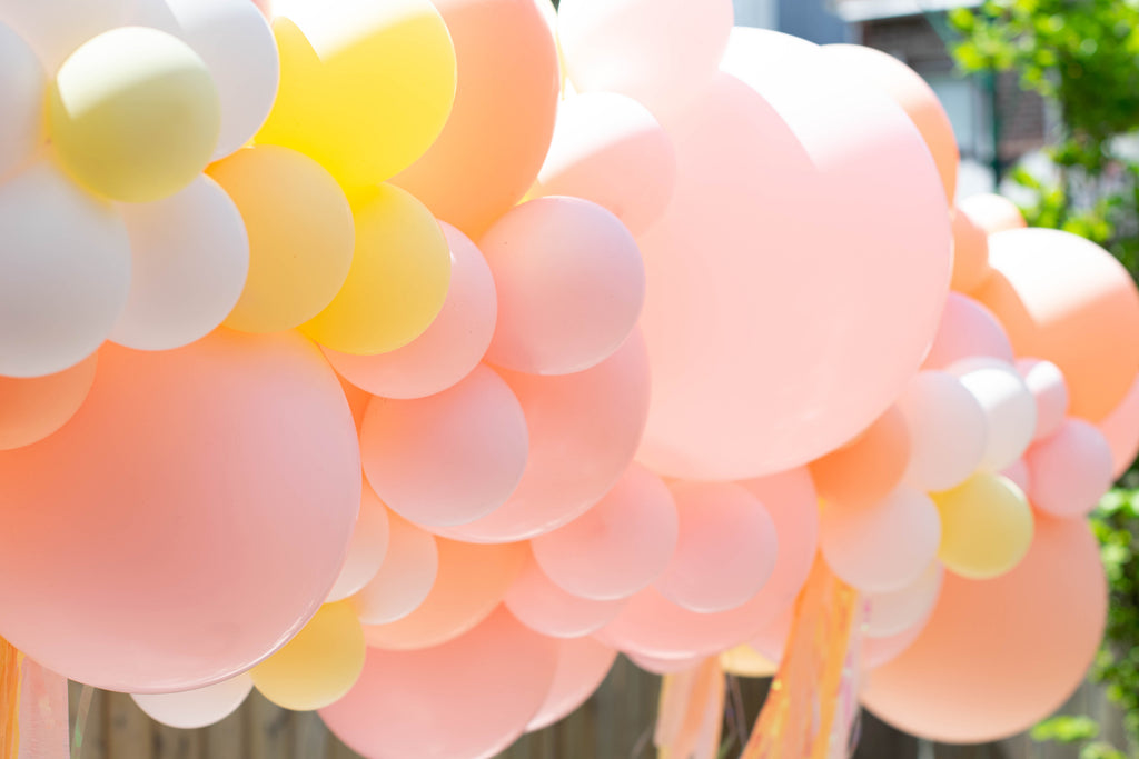 Party et Cie Balloon Garland My Blush Peony