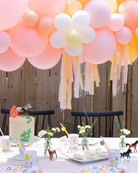 Party et Cie Balloon Garland