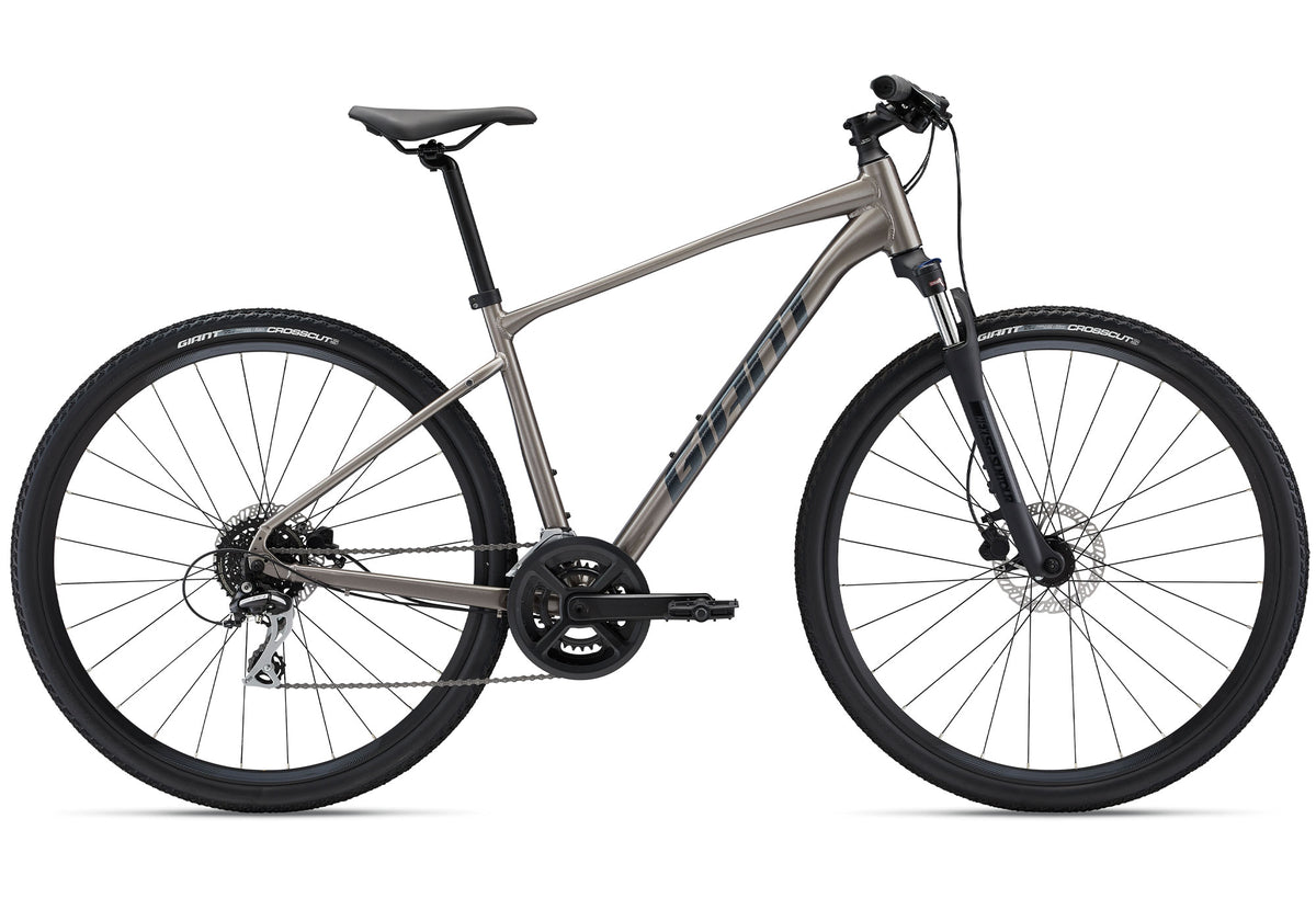 2022 Giant Roam 3 Mens Fitness/Urban Bike Metal