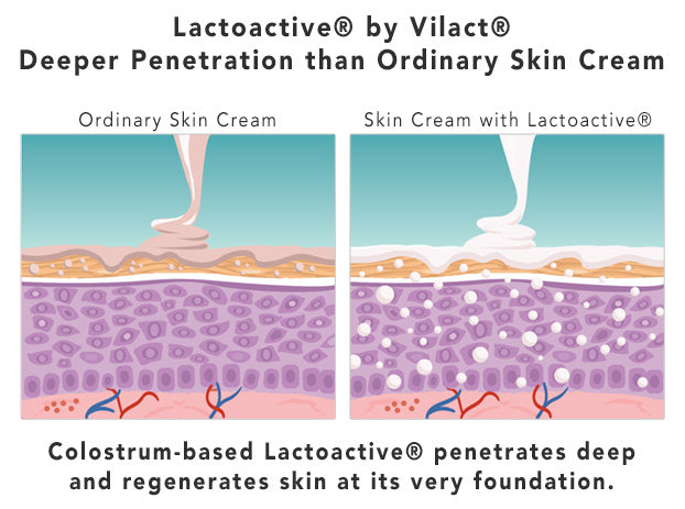 How Lactoactive® Works