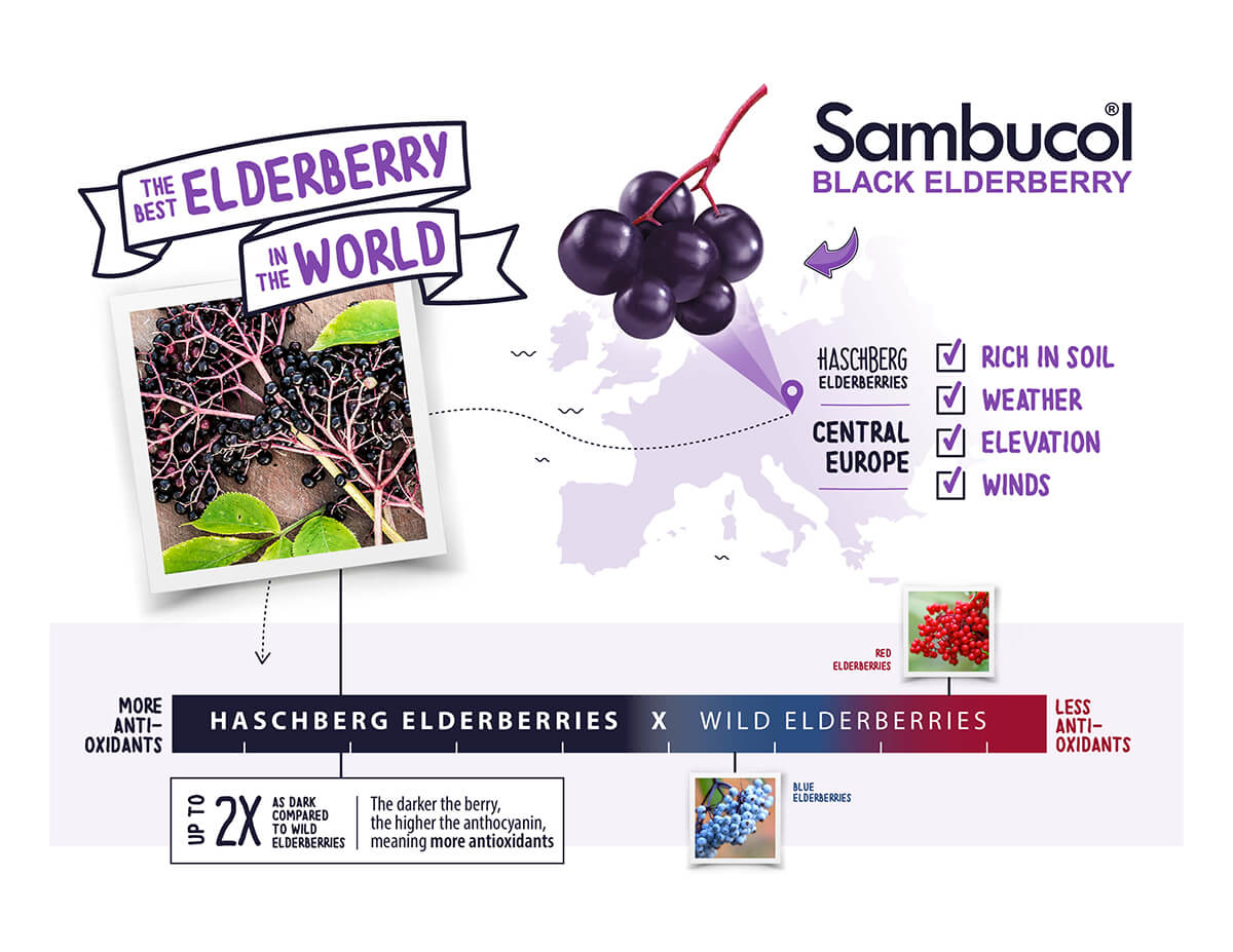 Benefits of Elderberry Syrup