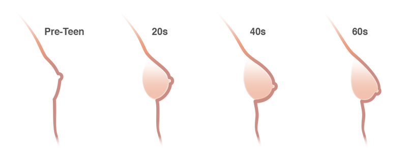 Female breast aging