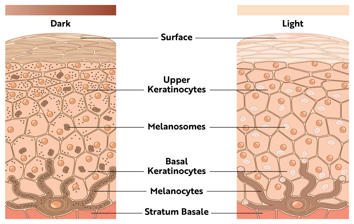 Lighten Skin With Hydroquinone?