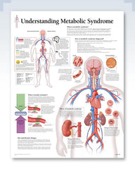 Metabolic Syndrome 2006