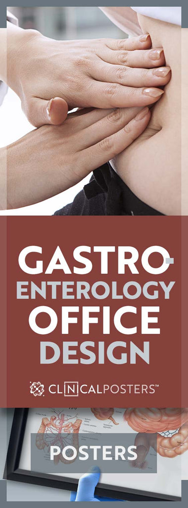 Gastroenterology Exam-Room Design Budget