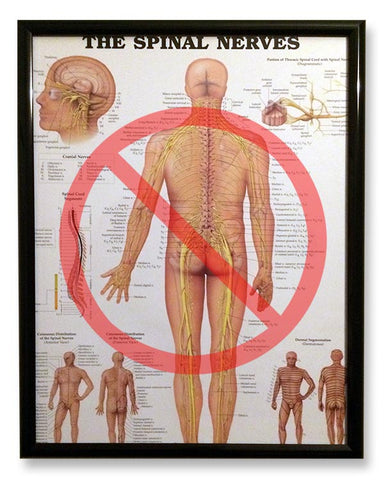 Ill-Fitted Frame For Spinal Nerves Poster