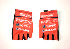 2019 Nippo Vini Fantini Faizane Professional Cycling Team Gloves
