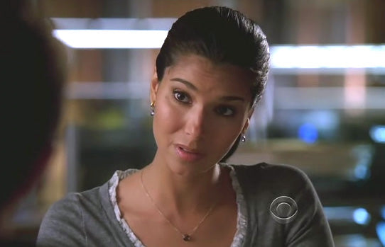 Roselyn Sanchez Elena Without a Trace