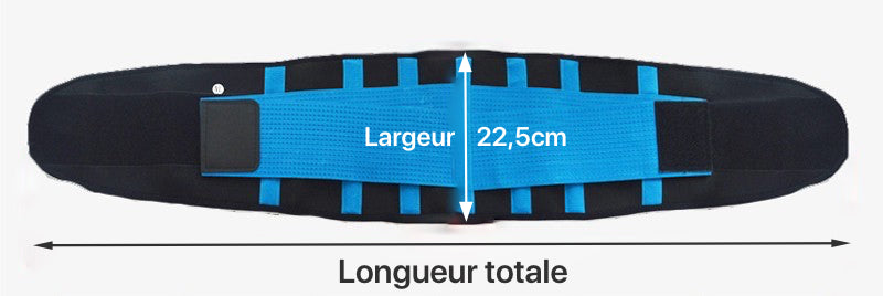 Dimensions de la ceinture lombaire de maintien dorsale ColorStretch