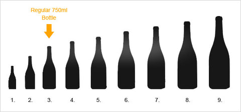 Different champagne bottle sizes (9)