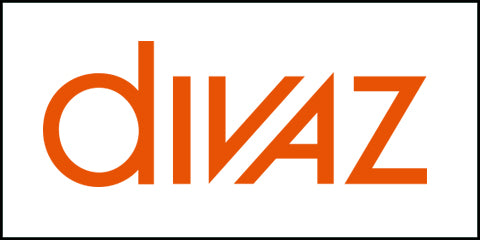 Divaz shoes