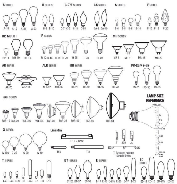 Bulb Shapes and Sizes