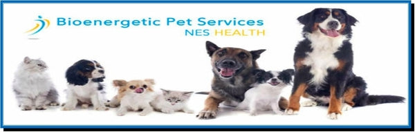 Wendy Myers Detox NES Health for Animal WellNES