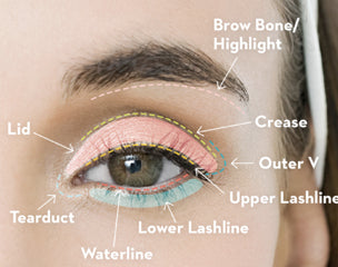 Eyeshadow Application