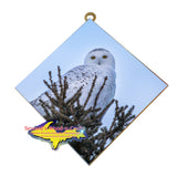 Snowy Owl Hanging Tile