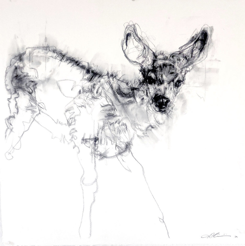 April Coppini Vulnerable One Mule Deer Fawn – Antler Gallery