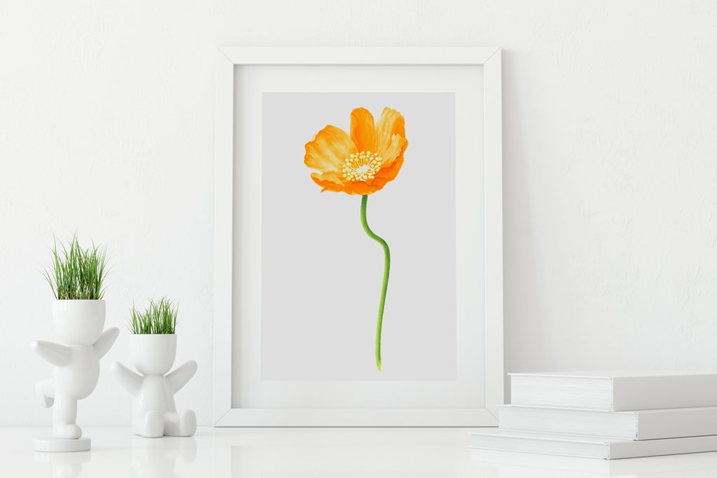 Poppy-Gold-Floral wall art