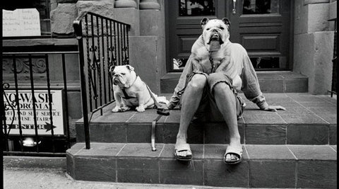 Art Print Gallery | Elliot Erwitt