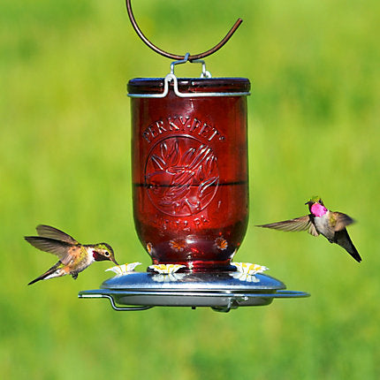 Perky Pet Red Mason Jar Glass Hummingbird Feeder Pequannock