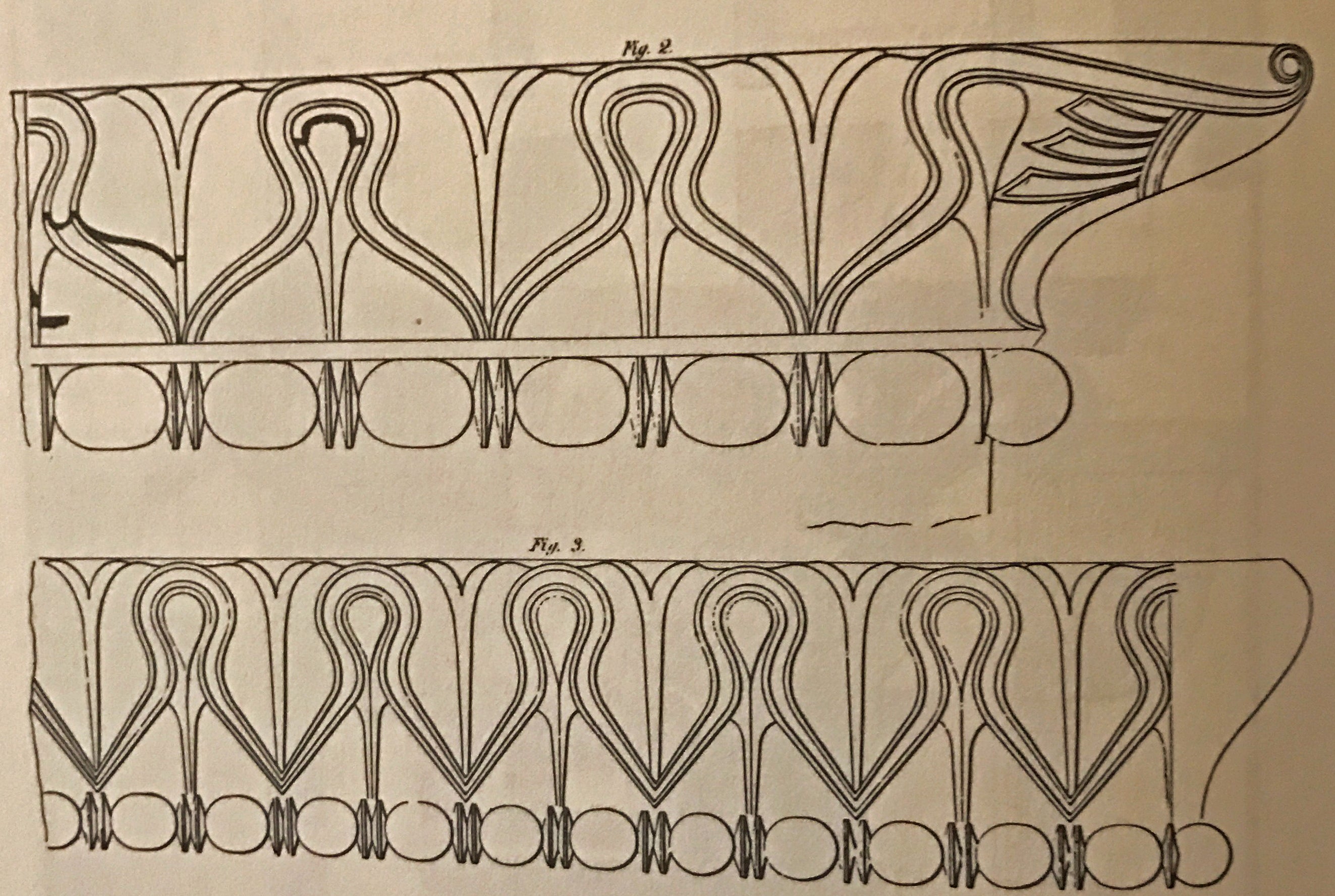 lambs tongue sketch for illustrated glossary of brockwell incorporated's classical architectural terms