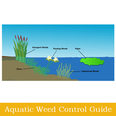 Aquatic Weed Control Guide